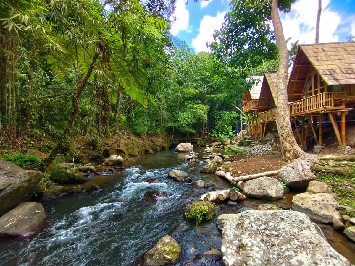 Aksha Riverside Ubud Tampaksiring Экстерьер фото